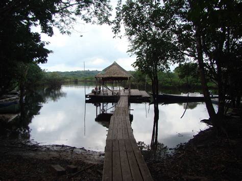 AMAZÔNIA Bioventura Expedições