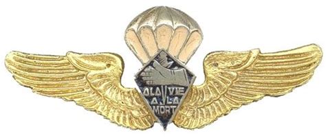 Pin De Nikolaos Paliousis Em Paratroopers Badges And Insignia Of The