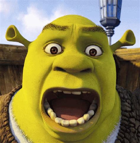 Content Aware Scale Shrek GIF - ContentAwareScale Shrek Shock ...