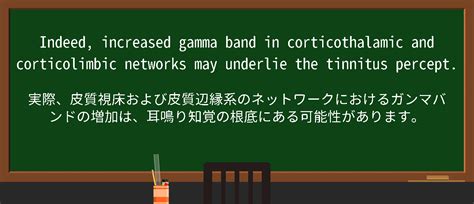 英単語corticothalamicを徹底解説意味使い方例文読み方