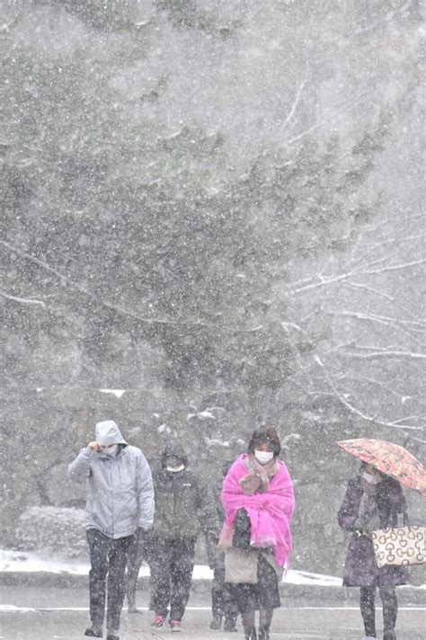 九州北部・山口ほぼ全域で氷点下記録 平地で吹雪、交通網に乱れ 写真特集116 毎日新聞