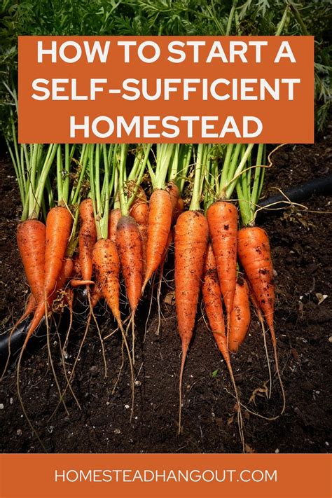 10 Inspiring Homesteading Garden Layouts For Self Sufficiency