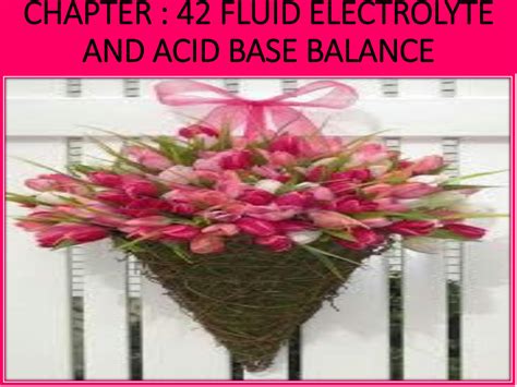 Solution Chapter Fluid Electrolyte And Acid Base Balance Studypool