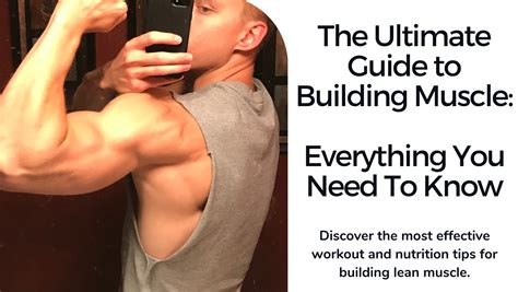 The Ultimate Guide To Building Muscle: Everything You Need To Know ...