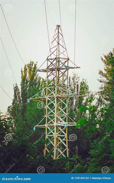 Líneas De Transmisión Y Pilones De Alto Voltaje Del Poder Entre árboles