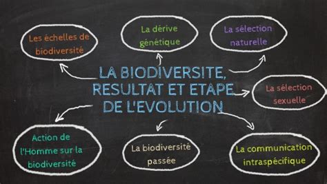 La Biodiversite Resultat Et Etape De Levolution