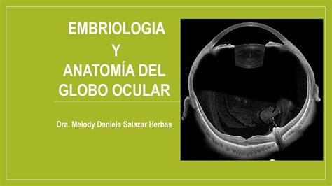 Oftalmología uDocz