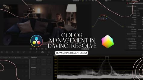 Color Management In Davinci Resolve What And How To Use It