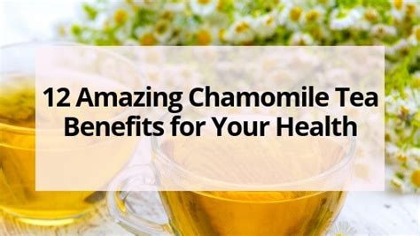 12 Amazing Chamomile Tea Benefits For Your Health