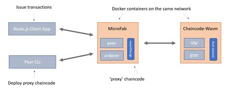 Getting Rust Contract In Wasm Working With Microfab Fabric Contract