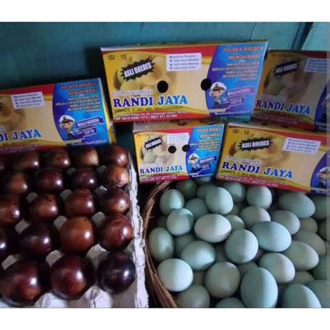 Jual Telur Asin Khas Brebes Asli Shopee Indonesia