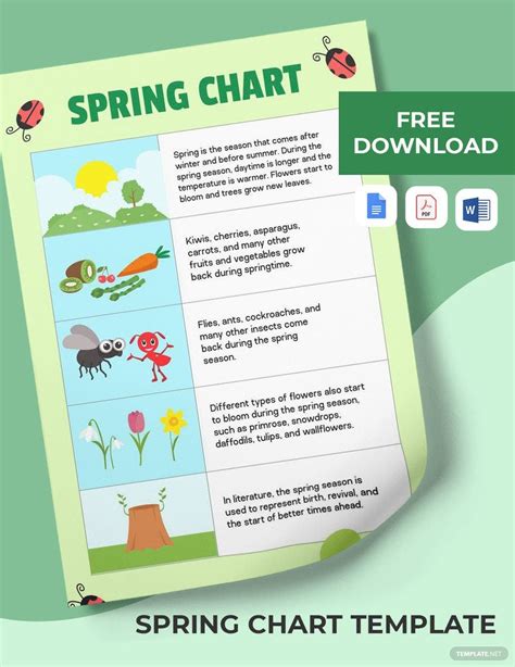 Spring Chart Template in Word, PDF, Google Docs - Download | Template.net