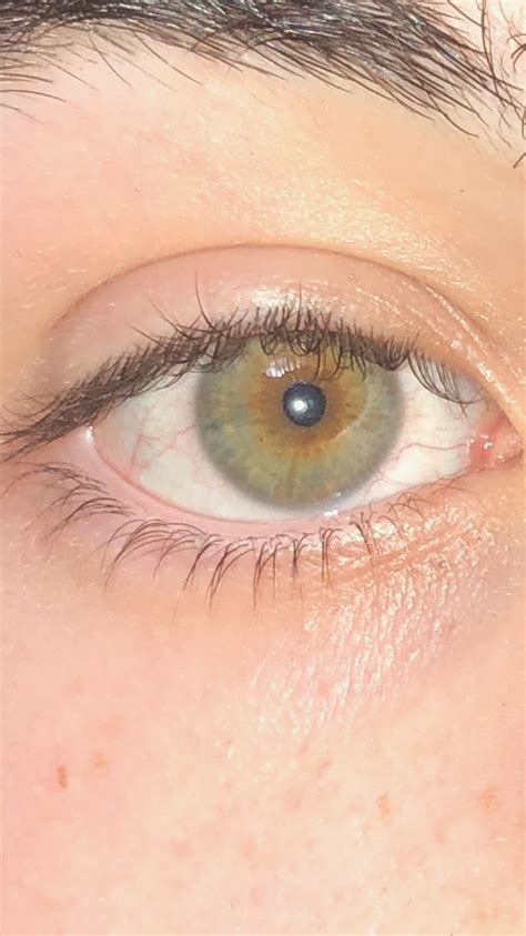 Green, Hazel, GrOwn? What color are they? : r/eyes