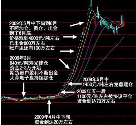 从负债300万到年赚10亿 养猪农民傅海棠的电子盘交易经历 天府财经网