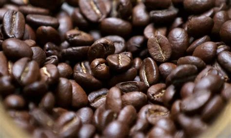 Café Indicador do robusta segue superior ao do arábica Visão Agro