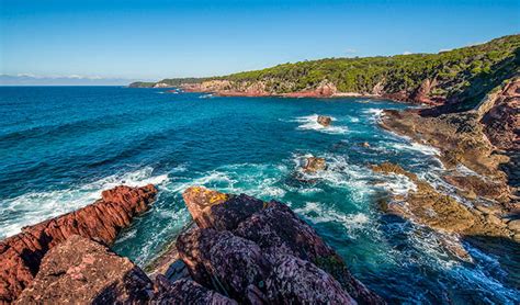 Boyds Tower To Saltwater Creek Walking Track Nsw National Parks