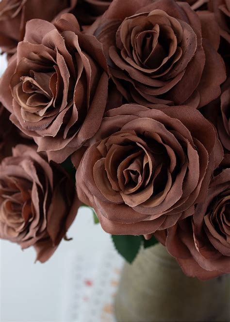 Rose Bush W9 Flower Chocolate Brown 18 Ubizfloral Brown Flowers