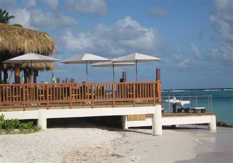 Beach Bar And Tropical Drinks Beach Bars Cosy Cafe South Padre Island