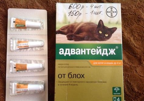 Адвантейдж для кошек: инструкция по применению, отзывы, аналоги