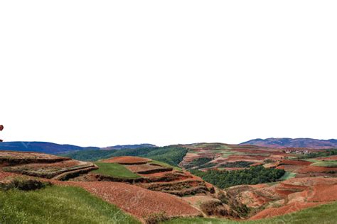 Terraced Field Crops Trees Village Png Transparent Image And Clipart