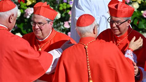 El Papa Nombra Nuevos Cardenales Que Pesar N En Su Sucesi N