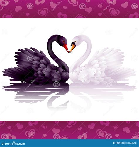 Two Graceful Swans In Love Stock Vector Illustration Of Beautiful