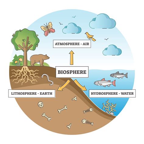 Biosphere And Ecosystem Lesson Social Science Class