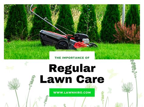 The Importance Of Regular Lawn Care Lawnhiro Blog