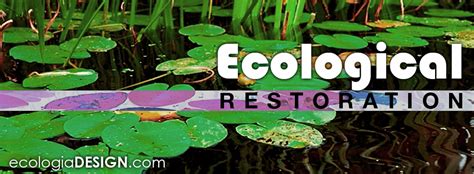 Ecological Restoration | Ecologia Design