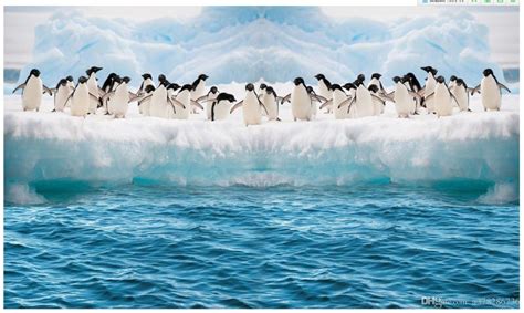 🔥 [40+] 3D Penguin Wallpapers | WallpaperSafari