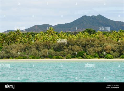 Coastal landscape of New Caledonia, September 2008. Endemic species ...