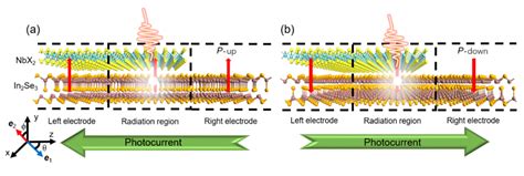 铁电调控的双向光响应器件基于Van der Waals α In2Se3 NbX2 X S Se和Te 铁电二极管 知乎