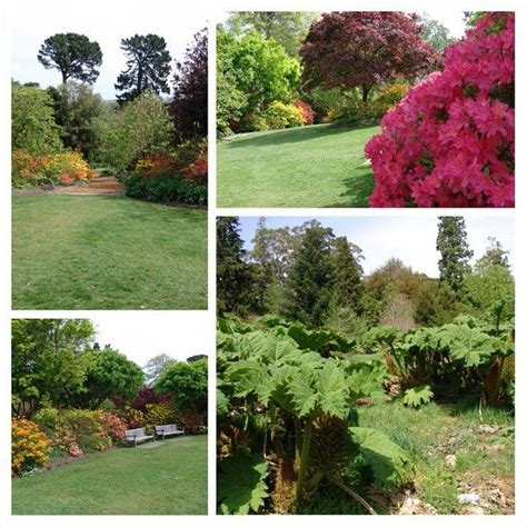 Botanic Gardens Dunedin New Zealand Dunedin New Zealand Botanical