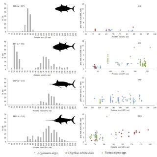 Histograms Showing The Size Frequency Distribution For Individuals Of