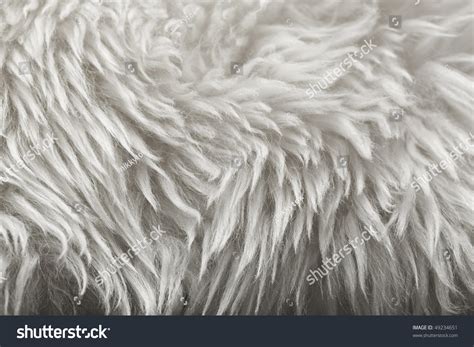 White Fur Texture Background Stock Photo 49234651 : Shutterstock