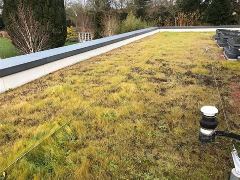 Green Roof Maintenance Example The Urban Greening Company