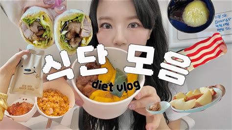 Diet Vlog 식도락 여행 전 급찐급빠 식단 븨로그 🥬 다이어터 꿀템 혈당 관리 Sub Youtube