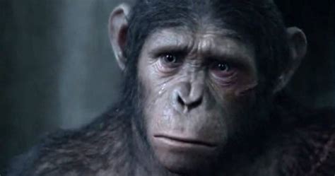 Caesar Speaks In Dawn Of The Planet Of The Apes Extended Tv Spot