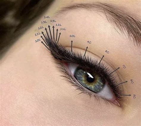 Lash Mapping How To Create A Perfect Set Every Time Artofit