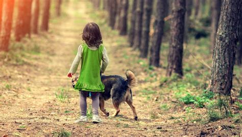 Bimba Di Due Anni Si Perde Nel Bosco Vicino Casa Ritrovata Sana E