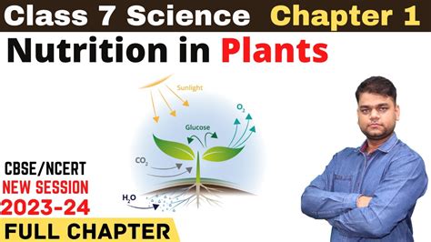 Cbse Class Science Chapter Nutrition In Plants Part