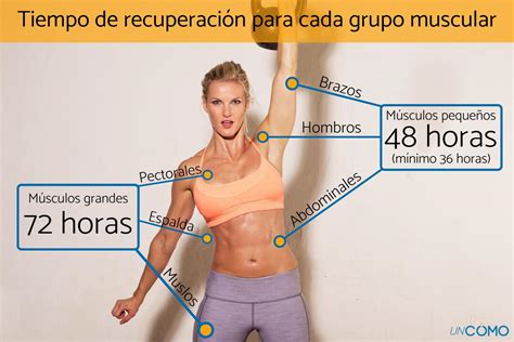 Cuánto tiempo debe descansar cada músculo Tabla y consejos