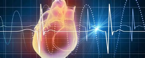 Desarrollan un minicorazón para estudiar enfermedades cardiacas