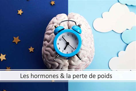 Les Hormones Qui Empêchent La Perte De Poids Madame Paléo