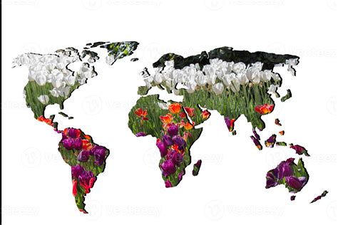 Roughly outlined world map with with tulip garden filling 12299184 ...