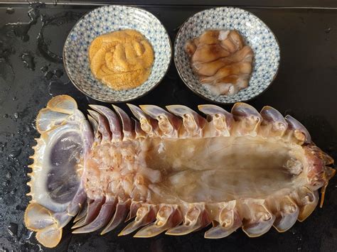 ‘dream Ingredient Alien Like Isopod Ramen Dish Made With A 14 Legged