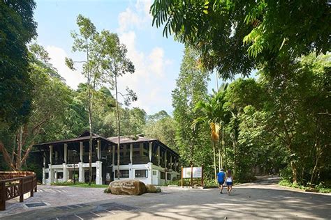 Bukit Timah Nature Reserve