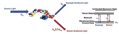 Optical Filters Narrow The Focus Of Raman Biomedical Analysis