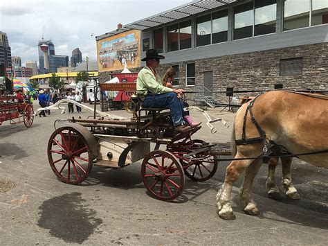 Top 10 Fascinating Facts About Calgary Stampede Al Discover Walks Blog