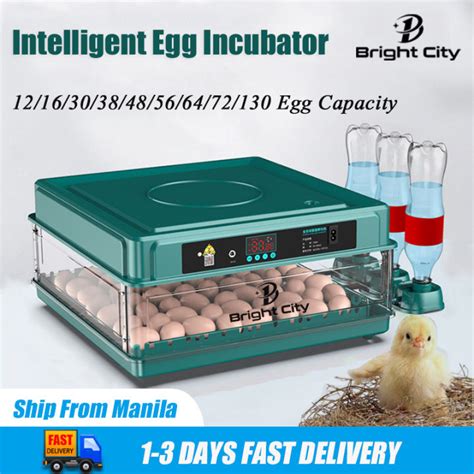 Bright City Cod Eggs Fully Automatic